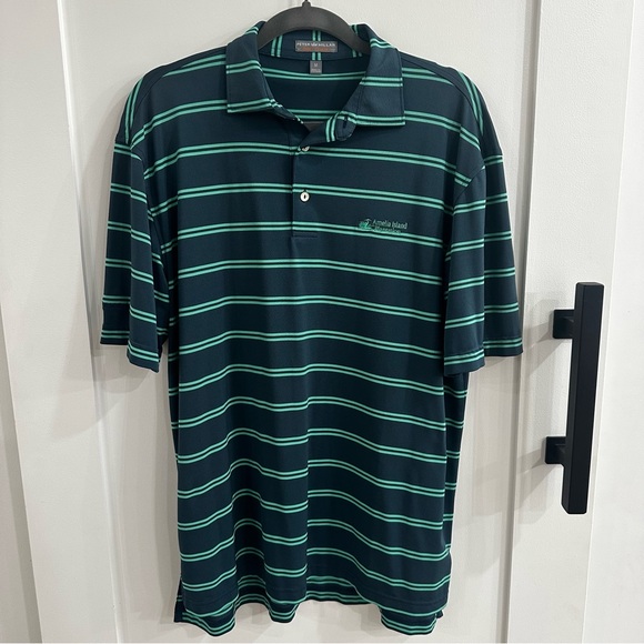 Peter Millar Other - Peter Millar Summer Comfort Polo Shirt Medium Green Striped Amelia Island Resort